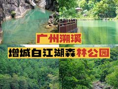 -广州白江湖森林公园