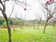 -福建鲤鱼洲酒店