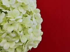 -大龙山(地铁站)