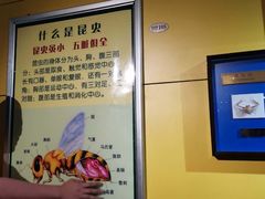 -上海昆虫博物馆