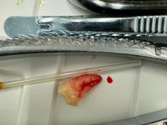 -上海市徐汇区口腔医院