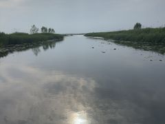-白洋淀景区