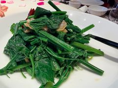 虫草花豌豆尖-蘇锦宴·淮扬菜烤鸭·小院(三元桥霄云路店)