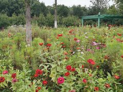 -济南国际园博园