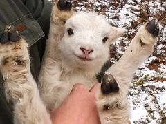 -烤满分·东北烧烤(首经贸店)