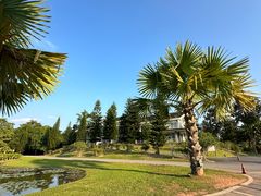 -中国科学院西双版纳热带植物园