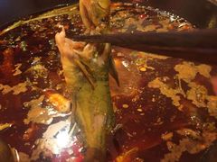 -三道苗苗鱼·美蛙黄辣丁(八里店)