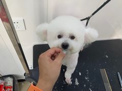 -北京恒爱动物医院(清景园分院)