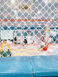 -胜利乐园(胜利购物广场店)