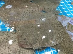 -隐厨·海鲜餐厅(恒通路店)