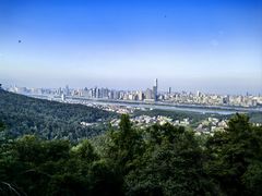 -柠季·手打柠檬茶(岳麓山登高路店)