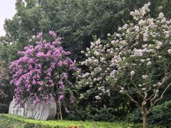 -杭州城北体育公园