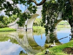 -顺峰山公园