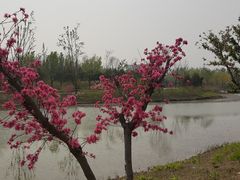 -东郊湿地公园