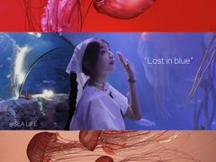 -沈阳海洋探索中心