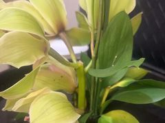 -潇湘府•湘菜领军品牌(望京店)