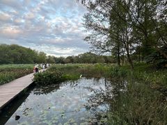 -西溪国家湿地公园