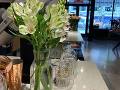 -之悦咖啡馆(新星宇·之洲店)