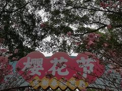 -观澜湖生态运动公社