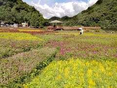 -广州市石门国家森林公园