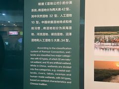 -中国湿地博物馆