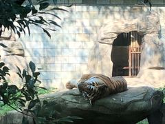 -福州动物园