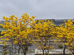 -文华公园(禅城区)