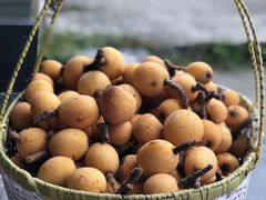 -塘栖枇杷特色园区