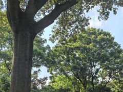 -人民广场