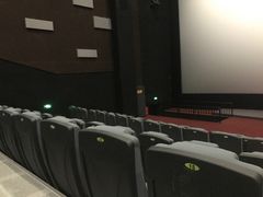 -红星电影世界上海张江绿地店