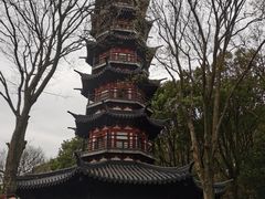 -上海佘山国家森林公园西佘山园