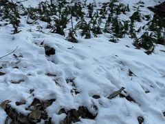 -终南山国家森林公园