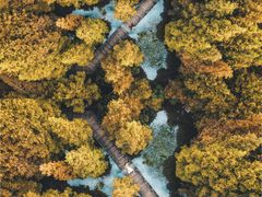 -桤木河湿地公园