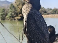 -河姆渡遗址博物馆