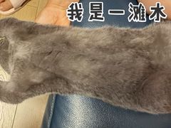 -lincat·猫舍(广州店)