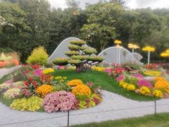 -上海共青森林公园