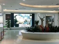 -润泽瑞尼丝医疗美容医院