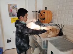 -平行世界·猫咖(首经贸店)