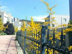 -大连东软信息学院(软件园校区)