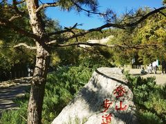 -府君山公园