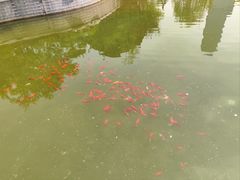-迎泽公园
