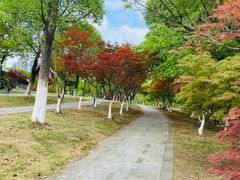 -白塘生态植物园