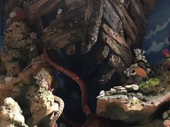 -珠海横琴国家地理探险家中心(创新方)