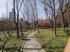 -木塔寺遗址生态公园