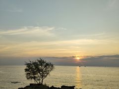 -御道口草原森林风景区