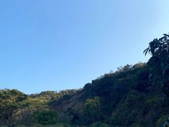 -梧桐山风景名胜区