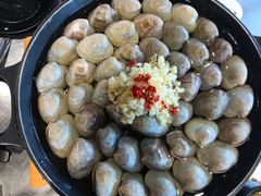 大白贝-水哥卜卜贝(东晓·胜汇里店)