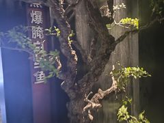 -苏淮景·苏闽融创菜·海鲜(原空港井河轩店)