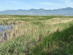 -野鸭湖国家湿地公园