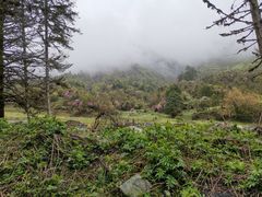 -硗碛藏寨·神木垒景区